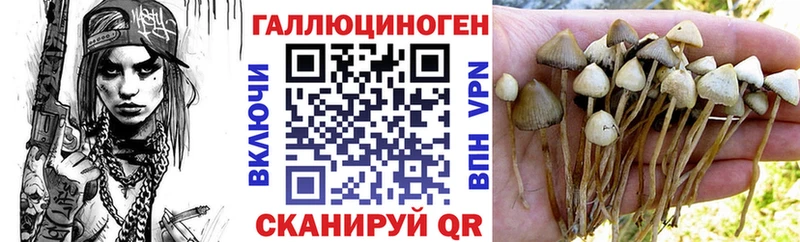 Галлюциногенные грибы прущие грибы  где купить наркоту  Темрюк 