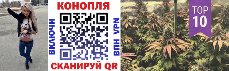 MEGA tor  Темрюк  Конопля марихуана 